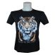Papier FC TOP DARK30