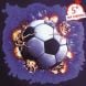 Flex Imprimable Stahls SportsFilm - 50 cm x 25 m (Default)