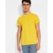 5 T-shirts BRACO - ROLY