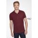 1 POLO BRANDY MEN - SOLS