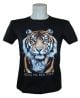 Papier FC TOP DARK30