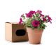 1 POT AVEC GRAINES VOLEN