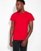 5 T-shirts TECKEL - ROLY