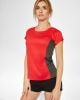 5 T-shirts SHANGHAI WOMAN - ROLY