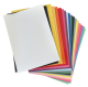Lot de 20 feuilles Poli-Flock