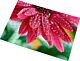 Puzzle en bois sublimable 96 pièces
