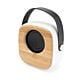 1 HAUT-PARLEUR BLUETOOTH ALESSO