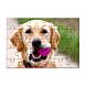 Puzzle en bois vierge - 60 pièces à personnaliser