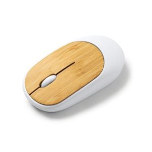 SOURIS REMY