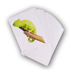 50 feuilles A4 adhésive de vinyle blanc pour imprimante jet d'encre