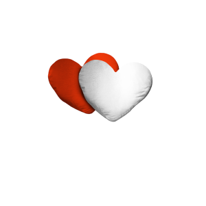 5 Housses pour coussins Coeur